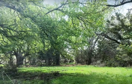 Rare Find: 46 Acres of Land for Building or Hunting - image 8