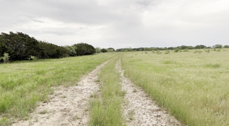 Find Your Texas Sanctuary: 25 Acres Ready for Building! - image 15