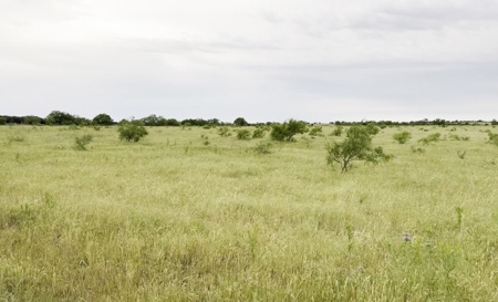 Find Your Texas Sanctuary: 25 Acres Ready for Building! - image 16