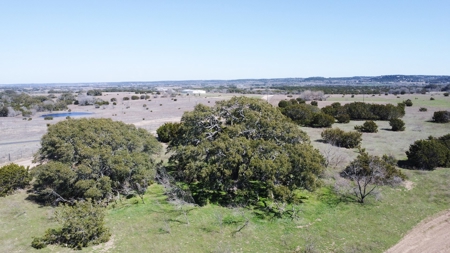 Find Your Texas Sanctuary: 25 Acres Ready for Building! - image 12