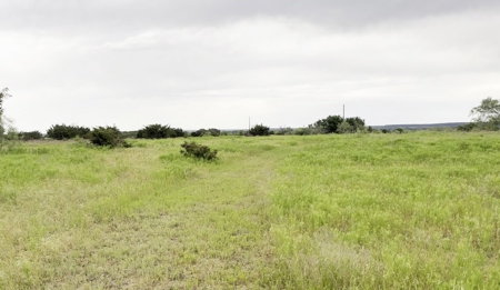 Find Your Texas Sanctuary: 25 Acres Ready for Building! - image 17