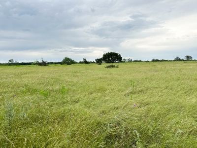 Find Your Texas Sanctuary: 25 Acres Ready for Building! - image 23