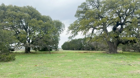 Find Your Texas Sanctuary: 25 Acres Ready for Building! - image 9