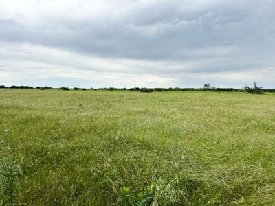 Find Your Texas Sanctuary: 25 Acres Ready for Building! - image 22