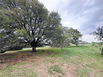 Find Your Texas Sanctuary: 25 Acres Ready for Building! - image 13