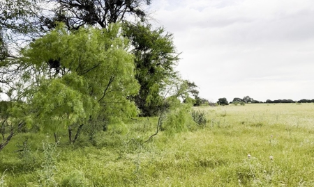 Find Your Texas Sanctuary: 25 Acres Ready for Building! - image 14
