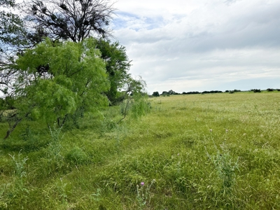Find Your Texas Sanctuary: 25 Acres Ready for Building! - image 21