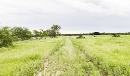 Find Your Texas Sanctuary: 25 Acres Ready for Building! - image 18