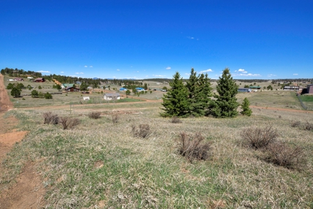 Colorado Mountain Buildable  Lot in Divide - image 3