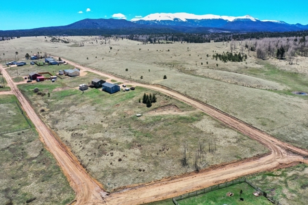 Colorado Mountain Buildable  Lot in Divide - image 12