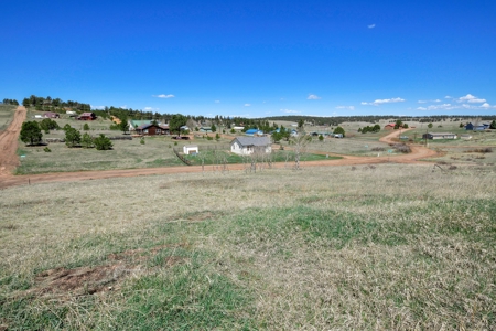 Colorado Mountain Buildable  Lot in Divide - image 6