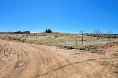 Colorado Mountain Buildable  Lot in Divide - image 1