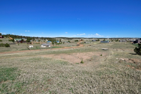 Colorado Mountain Buildable  Lot in Divide - image 4