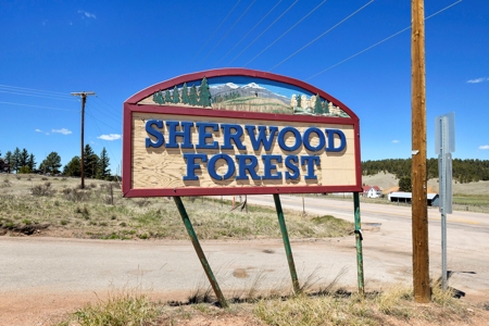 Colorado Mountain Buildable  Lot in Divide - image 9
