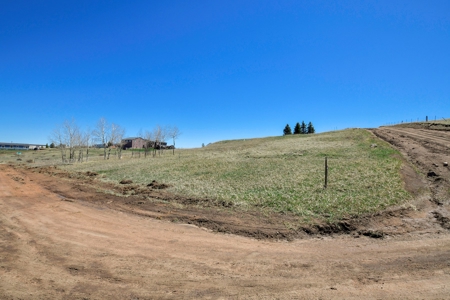 Colorado Mountain Buildable  Lot in Divide - image 19