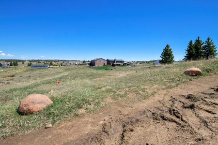 Colorado Mountain Buildable  Lot in Divide - image 5