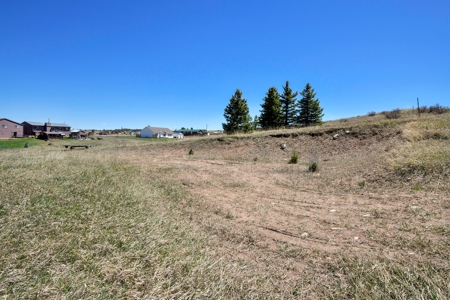 Colorado Mountain Buildable  Lot in Divide - image 7