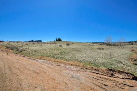 Colorado Mountain Buildable  Lot in Divide - image 8
