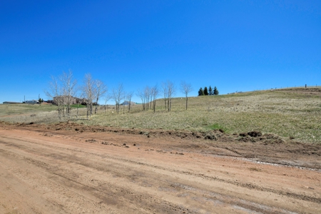 Colorado Mountain Buildable  Lot in Divide - image 2