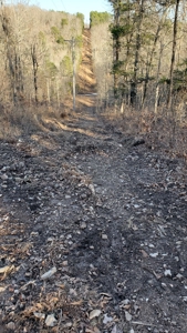 Vacation Cabin Joining Ozark National Forest For Sale - image 29