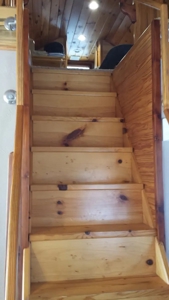 Vacation Cabin Joining Ozark National Forest For Sale - image 34