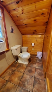 Vacation Cabin Joining Ozark National Forest For Sale - image 36
