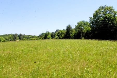 Vacation Cabin Joining Ozark National Forest For Sale - image 22