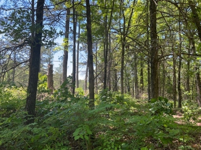 Vacation Cabin Joining Ozark National Forest For Sale - image 31
