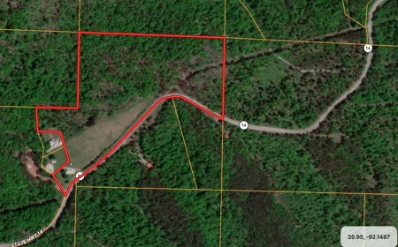 Vacation Cabin Joining Ozark National Forest For Sale - image 33