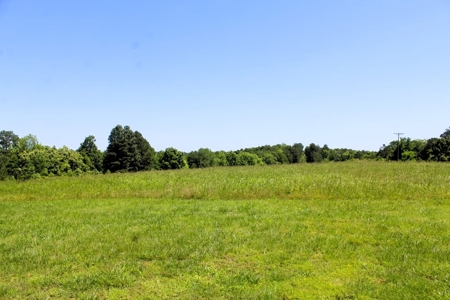 Vacation Cabin Joining Ozark National Forest For Sale - image 23
