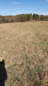 Vacation Cabin Joining Ozark National Forest For Sale - image 25