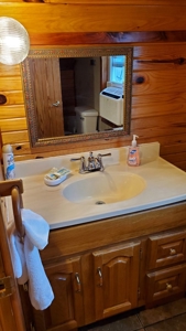 Vacation Cabin Joining Ozark National Forest For Sale - image 18