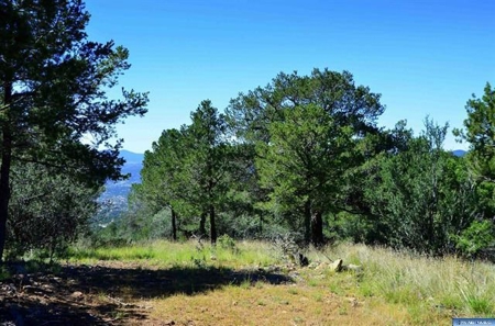 Southwest Development Property For Sale, Silver City NM - image 18