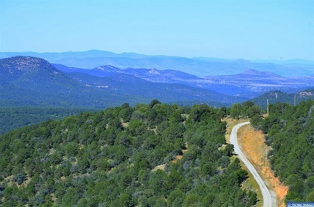 Southwest Development Property For Sale, Silver City NM - image 1