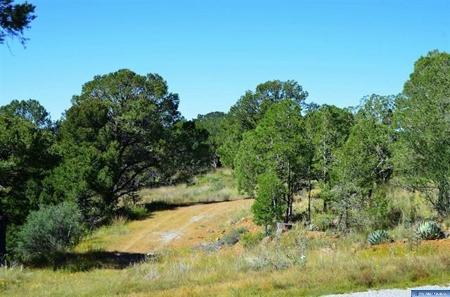 Southwest Development Property For Sale, Silver City NM - image 12