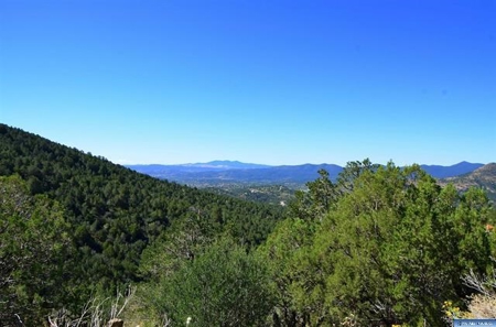 Southwest Development Property For Sale, Silver City NM - image 16