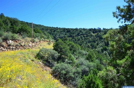 Southwest Development Property For Sale, Silver City NM - image 19