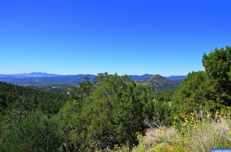 Southwest Development Property For Sale, Silver City NM - image 15