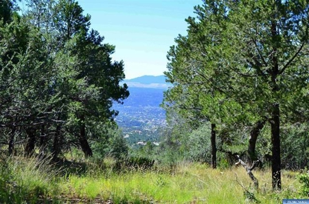 Southwest Development Property For Sale, Silver City NM - image 20