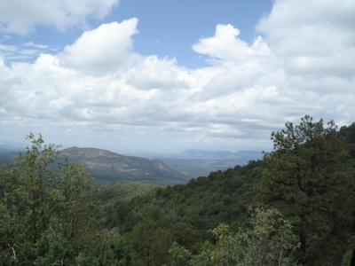 Southwest Development Property For Sale, Silver City NM - image 5