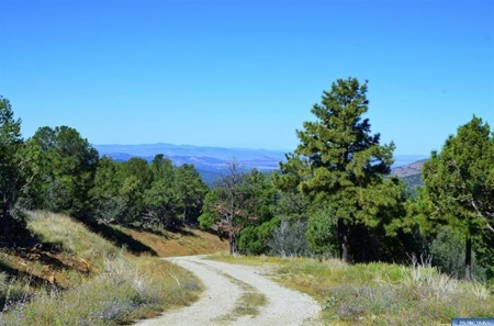 Southwest Development Property For Sale, Silver City NM - image 17