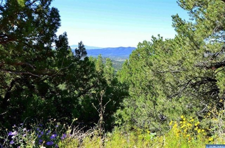 Southwest Development Property For Sale, Silver City NM - image 13
