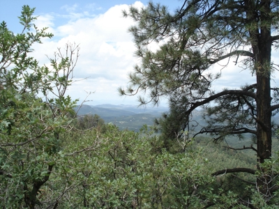 Southwest Development Property For Sale, Silver City NM - image 6