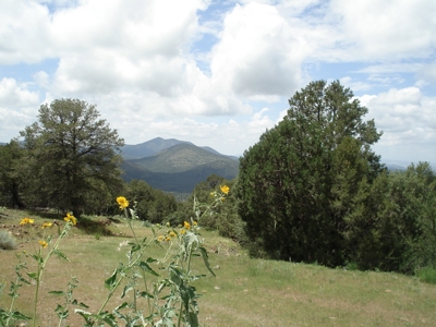 Southwest Development Property For Sale, Silver City NM - image 2