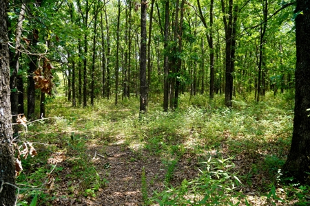 Country Home And Recreational Land For Sale, Meeker, Ok - image 29