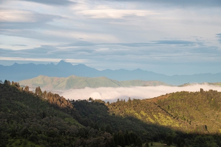 Wonderful property between mountains of Medellin - image 2