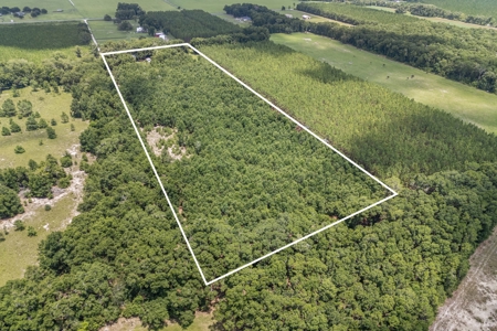 3 Bed, 2 Bath Brick Home On 16+ Acres In High Springs, Fl! - image 20
