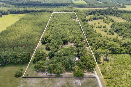 3 Bed, 2 Bath Brick Home On 16+ Acres In High Springs, Fl! - image 19