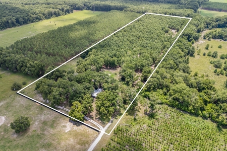 3 Bed, 2 Bath Brick Home On 16+ Acres In High Springs, Fl! - image 17
