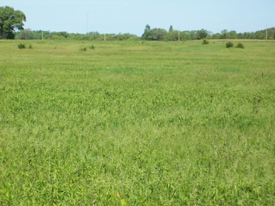 5 Acre Building Site Oxford WI Lot 12 - image 6